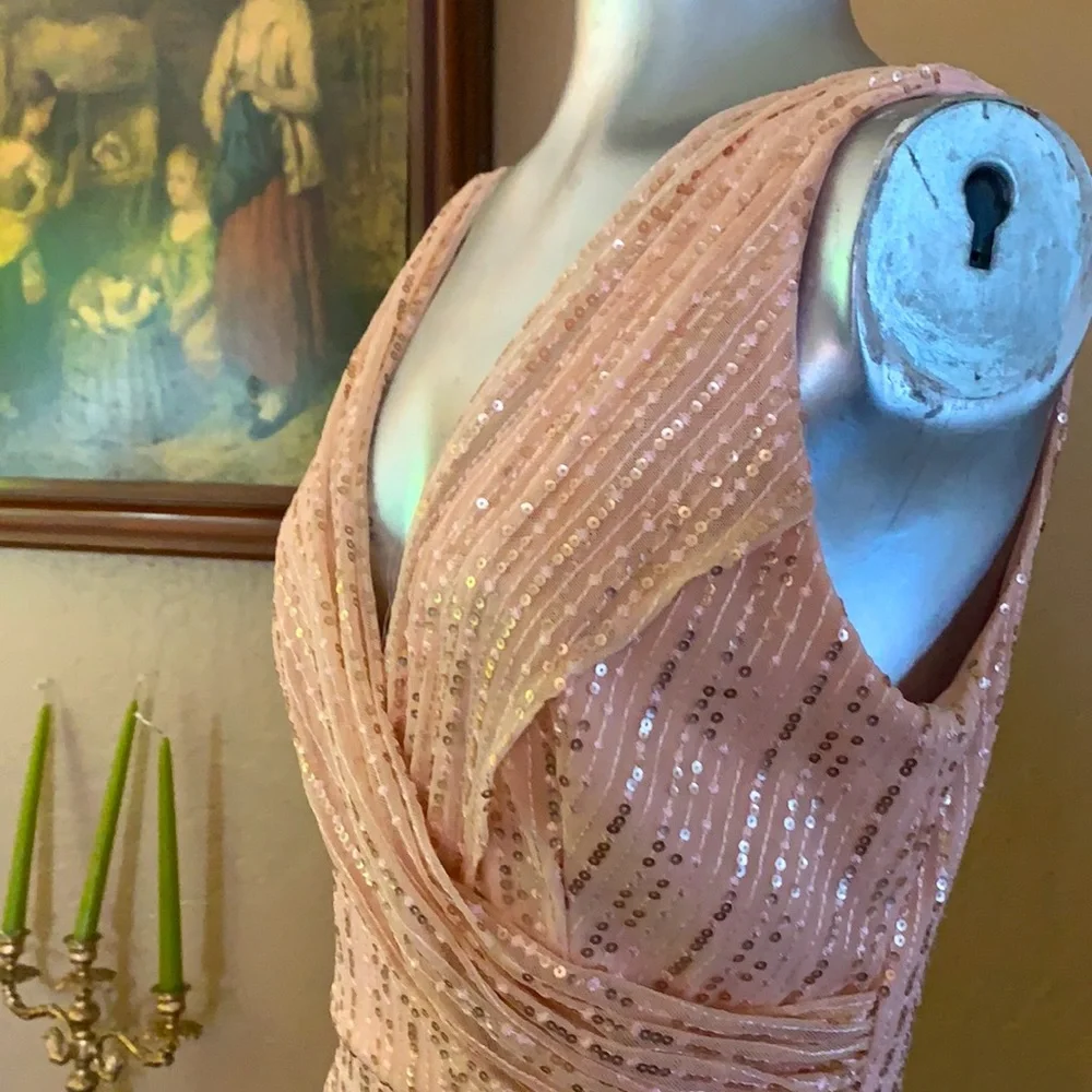 NWT DFI Los Angeles Long Blush Sequin Dress.  Sz M